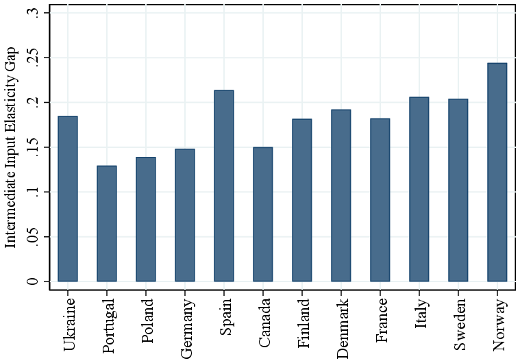 (b) Intermediate Input Elasticity